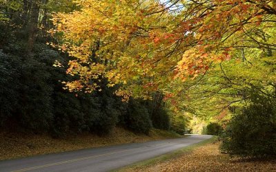 Blue Ridge Parkway 6