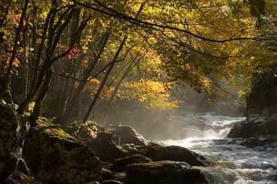 Autumn in the Southern Appalachians