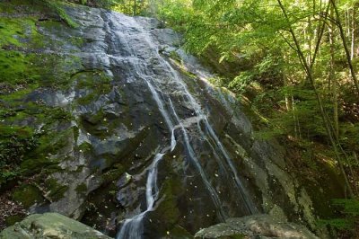 Lower Waterfall on Little Lost Cove Creek 1