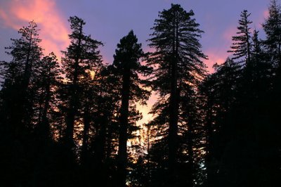 sunset-silhouette_6208.jpg