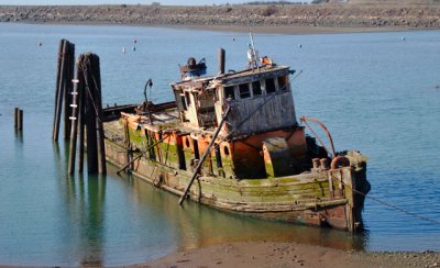 Mary D. Hume--Low Tide #2