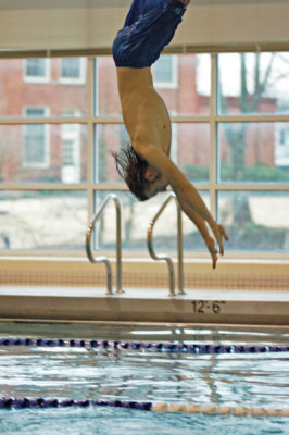 dive 4.jpg