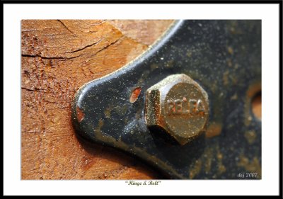 DXB_5896 hinge  bolt aa.jpg