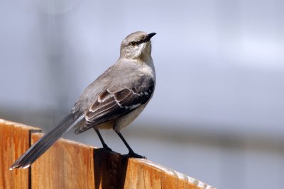 DXB_6112aa.jpg