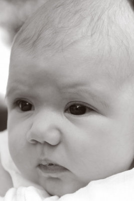_DXA6365 aa bw.jpg