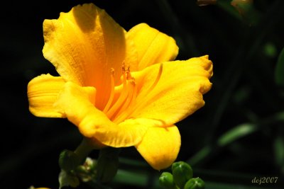 DXB_7148 aa.jpg