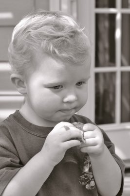 D2X_9342 aa bw.jpg