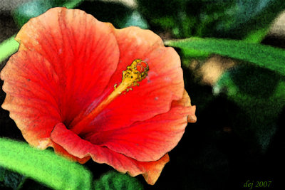 D2X_9604 bb fresco.jpg
