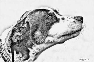 D2X_0053 sketch aa.jpg