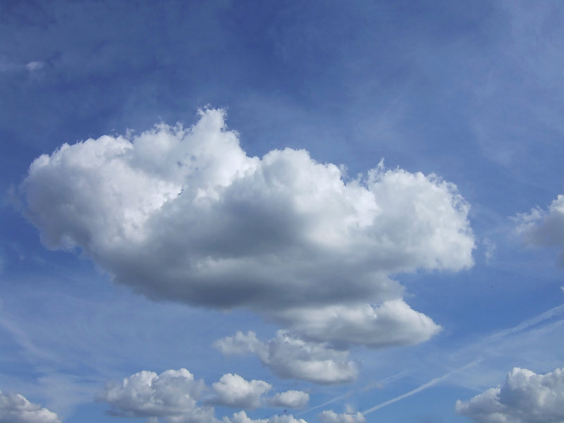 Above Us Only Sky.