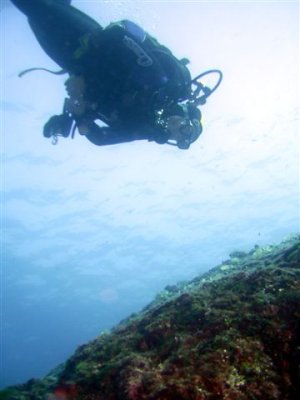 wout PIC_0172 bew.jpg