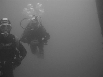 wout reinier PIC_0121 bew.jpg