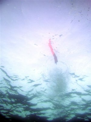 wout reinier PIC_0207 bew.jpg