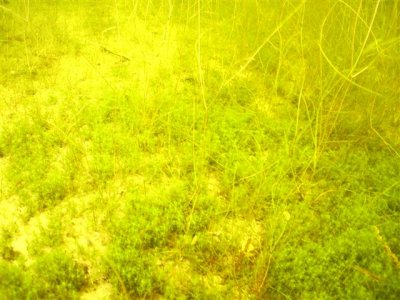 PIC_0607.JPG
