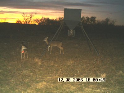 Picture dec 9 246.jpg