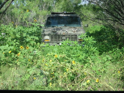 ha ha you cant see me.jpg