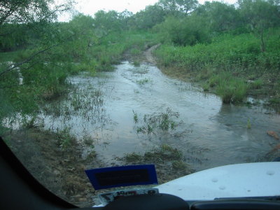 Wow the rain really makes it a jungle