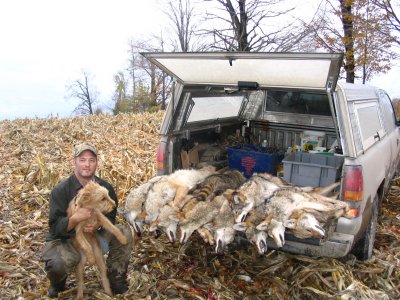 9 coyote day just coyotes on truck zagboone.jpg