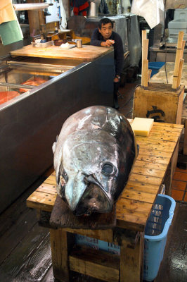 Tsukiji fish markets, Tokyo