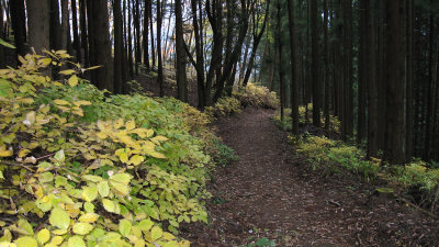 Mitakesan hiking trail, Oku-tama region
