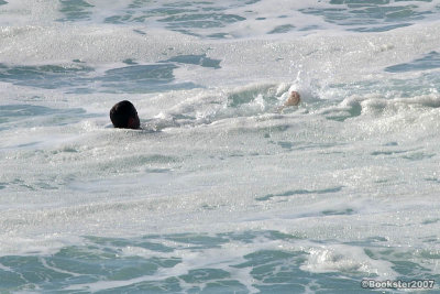 Coolite fun at Cronulla Point