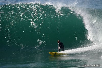 sequence a1- Dane Wilson