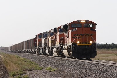 g6/79/383279/3/85056131.nkWU90AB.jpg