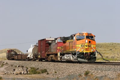 BNSF 4495