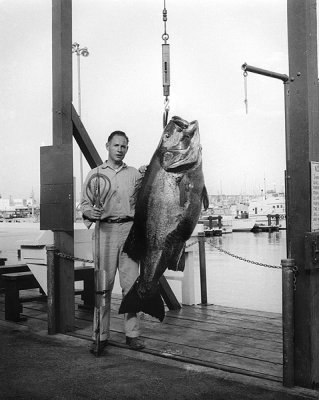  Big Fish, San Diego, CA in 1959