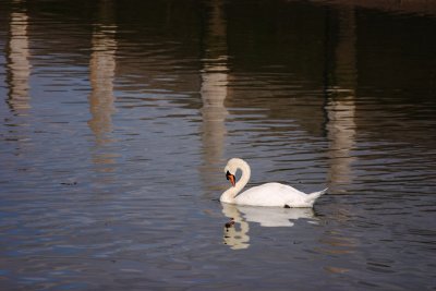 Lymington Marina, Hampshire
