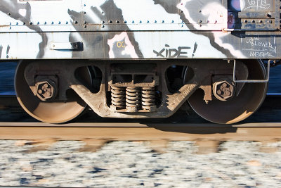 KN5P6944.jpg