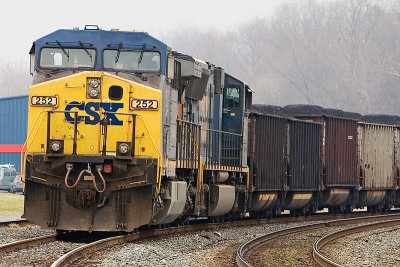 KN5P7054.jpg