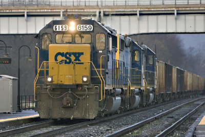 KN5P4831.jpg