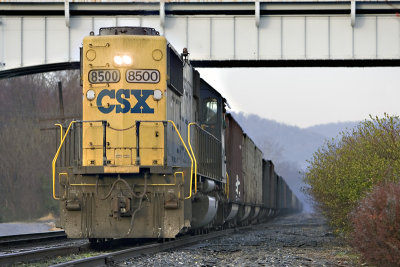 KN5P4836.jpg