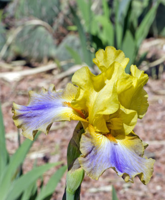 C12_8907a.jpg
