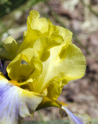 C12_8913a.jpg