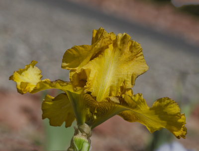 C12_8994a.jpg