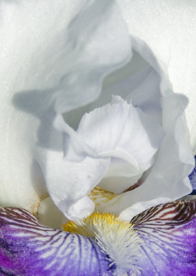 C12_9078d.jpg