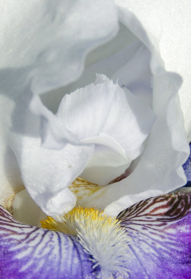 C12_9078e.jpg