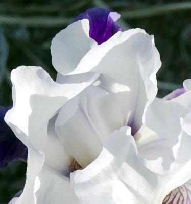 C12_9093c.jpg