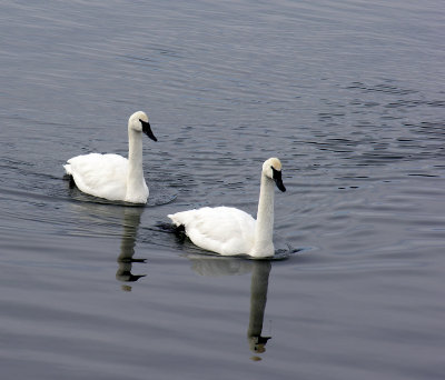 DSCN3202a.jpg