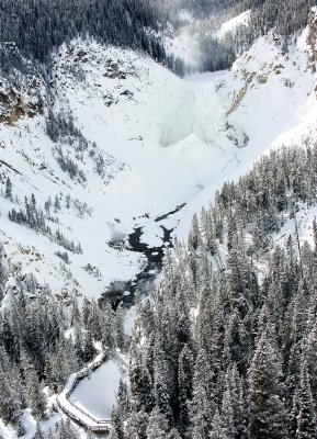 Grand Canyon Of Yellowstone