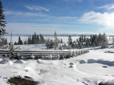 Yellowstone Winter 2007