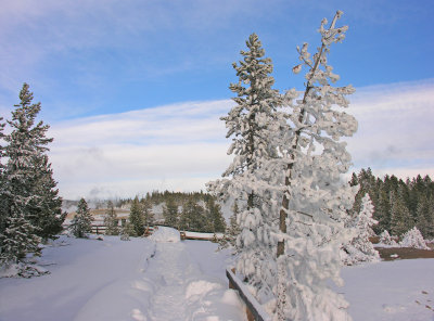 DSCN3291a.jpg