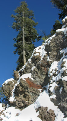 DSCN2934a.jpg
