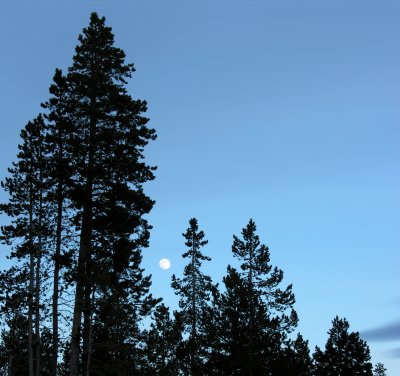DSCN2946a.jpg