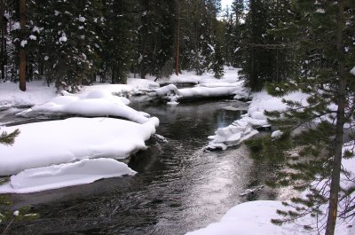 DSCN2971a.jpg
