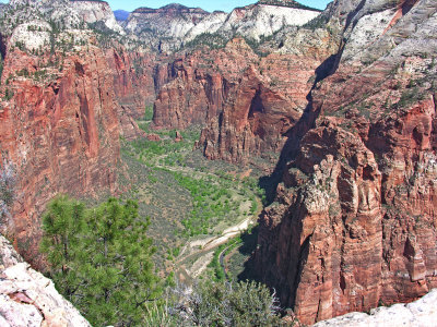 Zion 2012