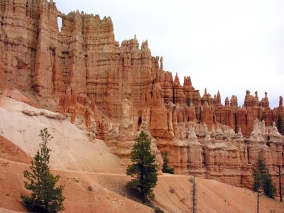 DSCN4362a.jpg