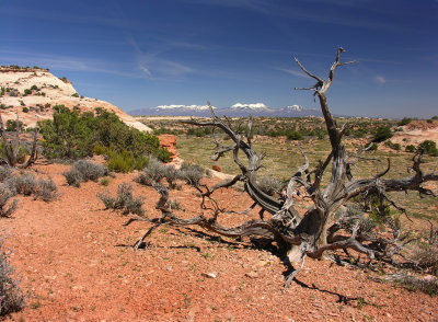 Canyonlands Utah 2012